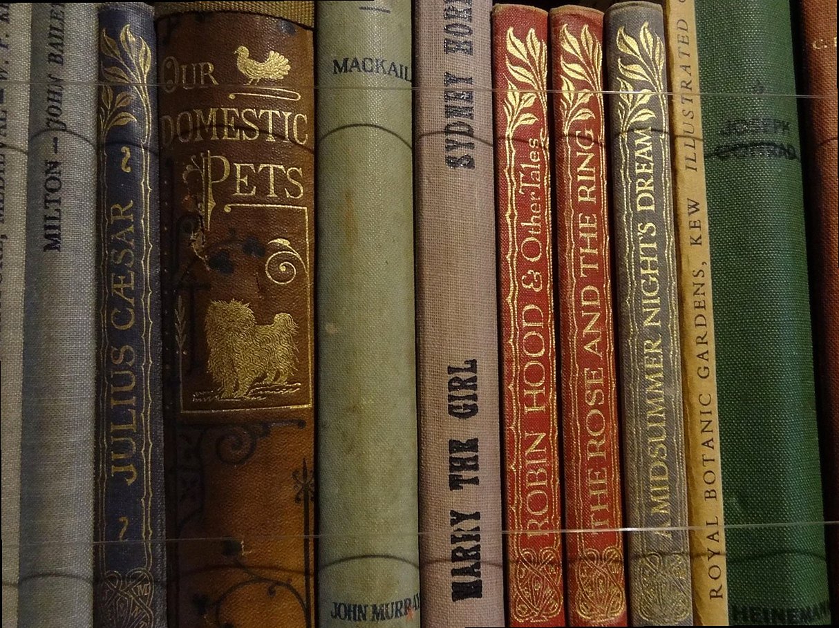 livre, bibliothèque, livres, littérature, librairie ancienne